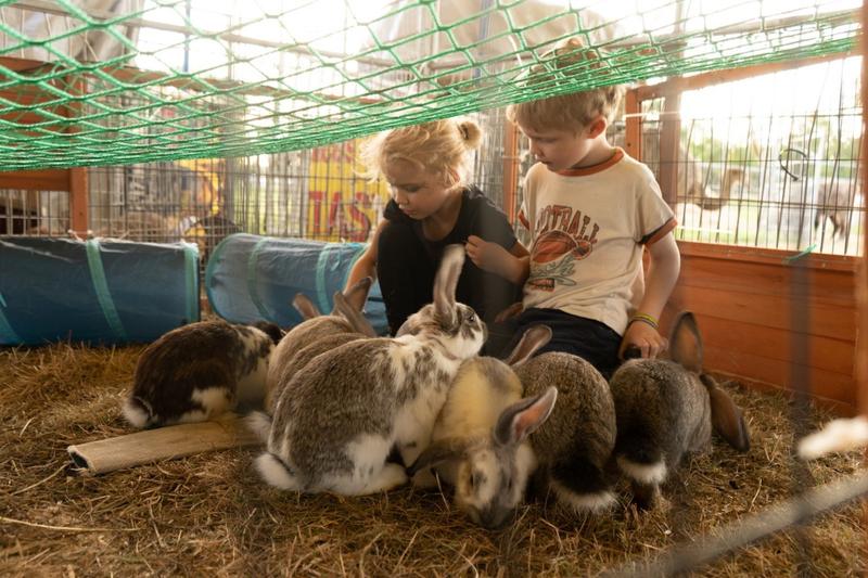 Wandler zwischen den Welten