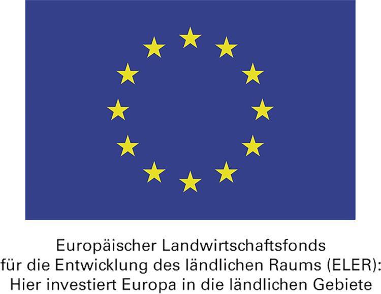 Logo EU